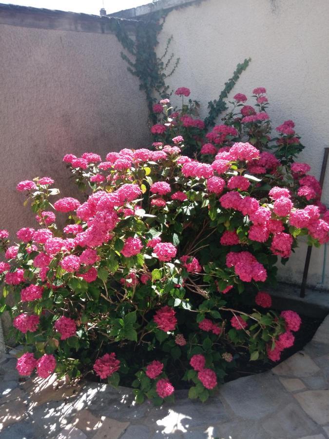 Gite Ozoo Saint-Aignan  Buitenkant foto